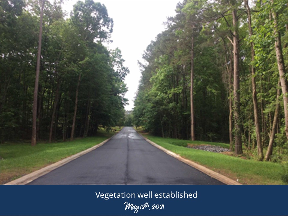 A picturesque road lined with trees and grass